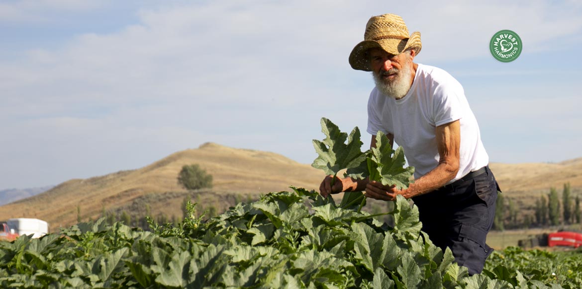 agriculture-kyminasi-harvestharmonics-farmers-future-farms-crop-yield-profit-plant-booster-15