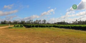 agriculture-kyminasi-harvestharmonics-farmers-future-farms-crop-yield-profit-plant-booster-3